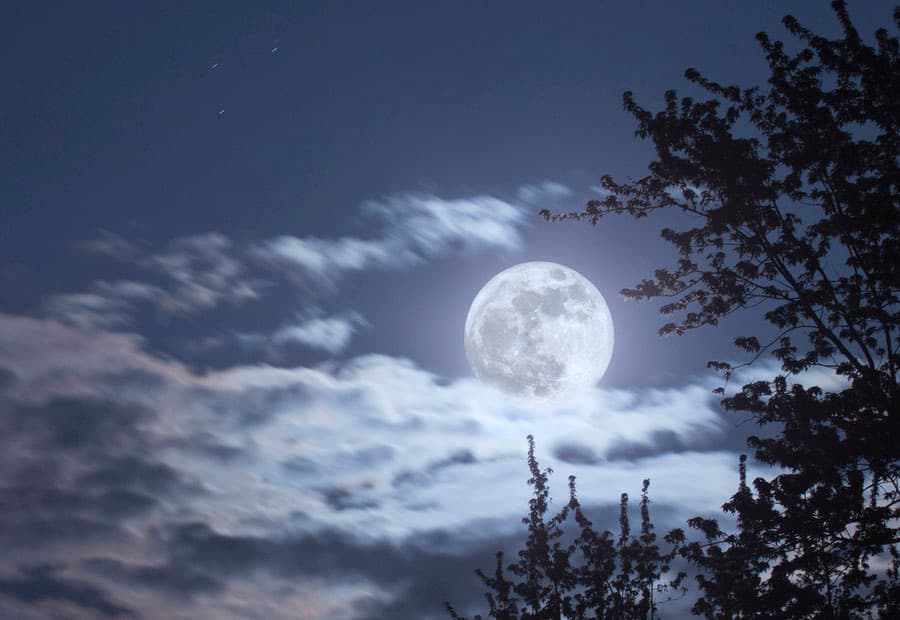 Parfum Pleine Lune — flacon NeZ ZeN